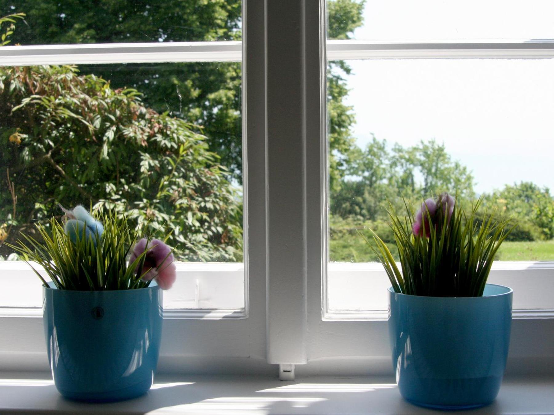 Ferienwohnung Villa Hoyerberg Lindau  Buitenkant foto